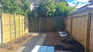 The Albemarle Image 2