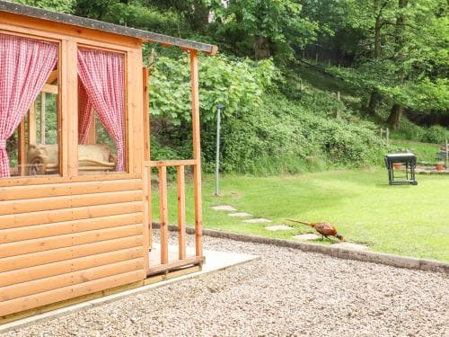 Hidden Oasis Image 3