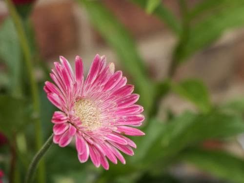 Crossing Cottage Image 3