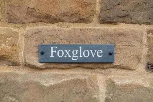 Foxglove Image 3