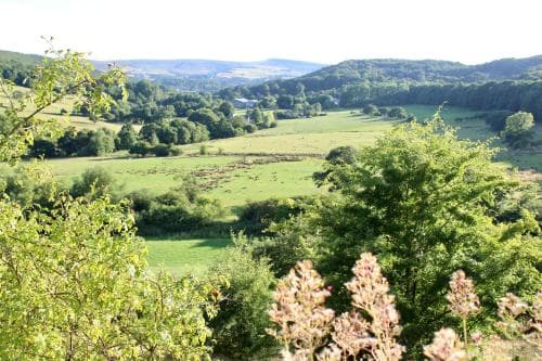 Greendale Cottage - scenery and walks on doorstep Image 3