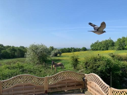 Brand new purpose built annex :- The Stables Image 3