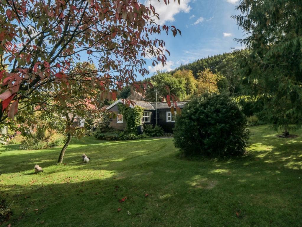 Damson Croft Image 1