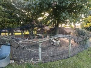 The Shepherd Hut Image 2