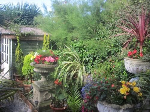 White Owl Holiday Apartments Image 3