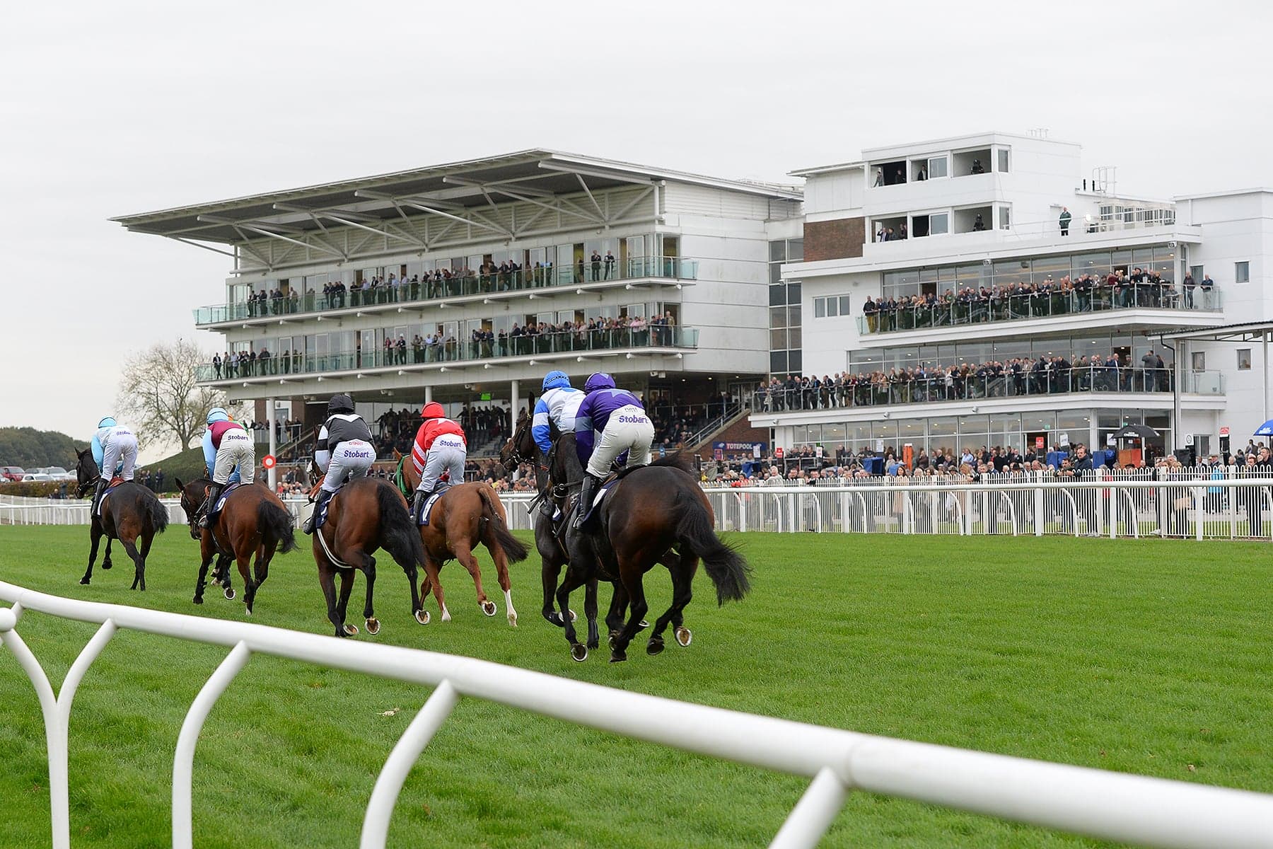 Wetherby Racecourse Image 3