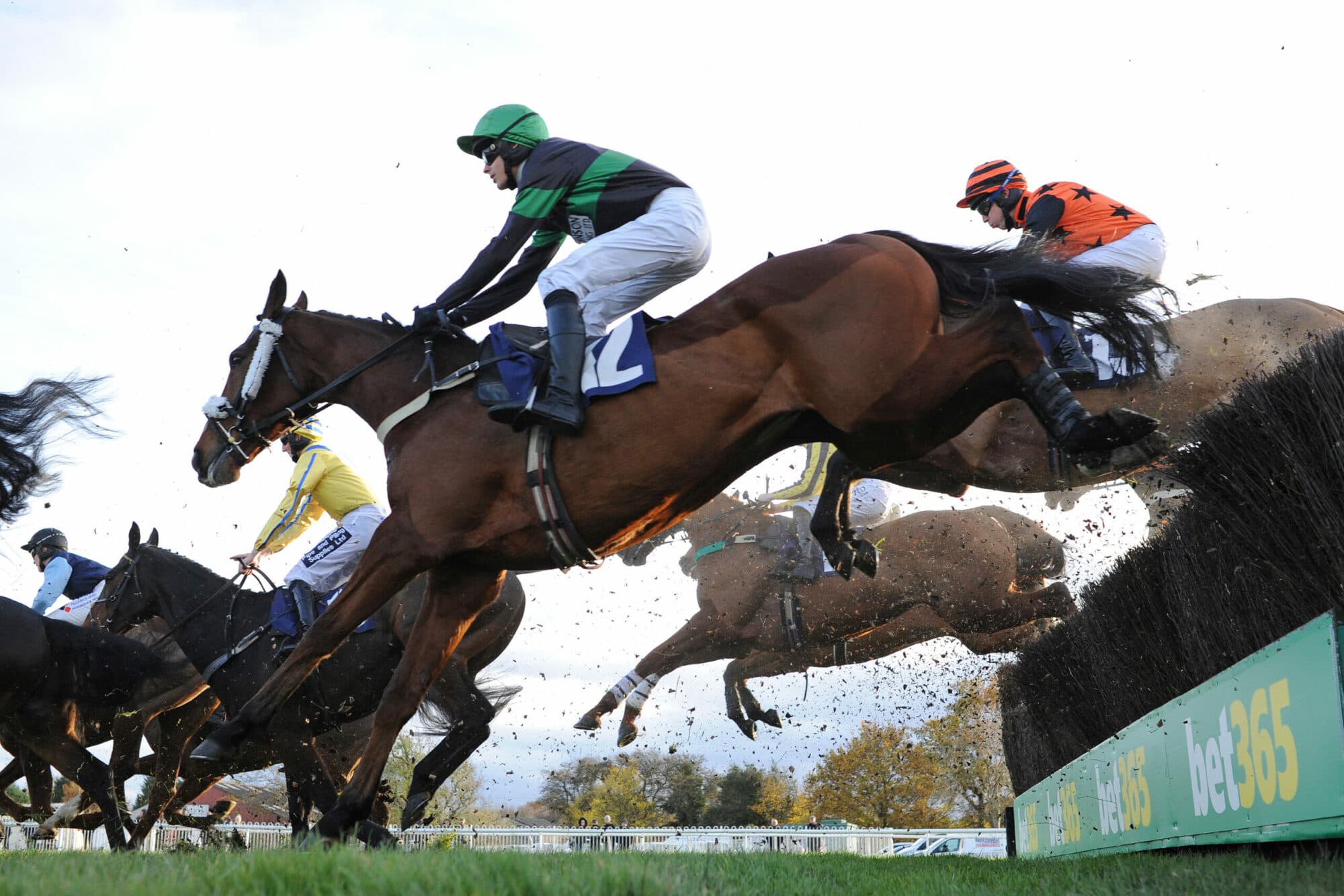 Wetherby Racecourse Image 1