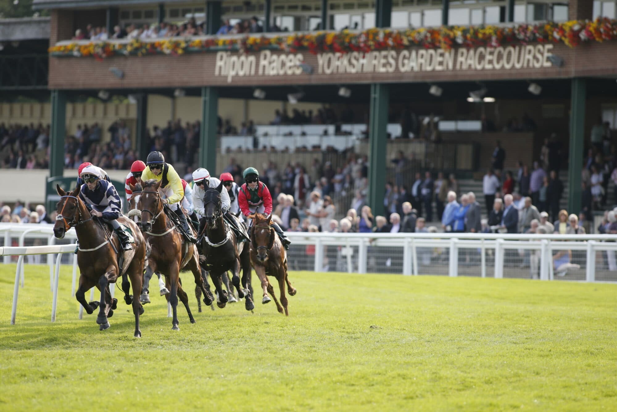 Ripon Racecourse Image 1