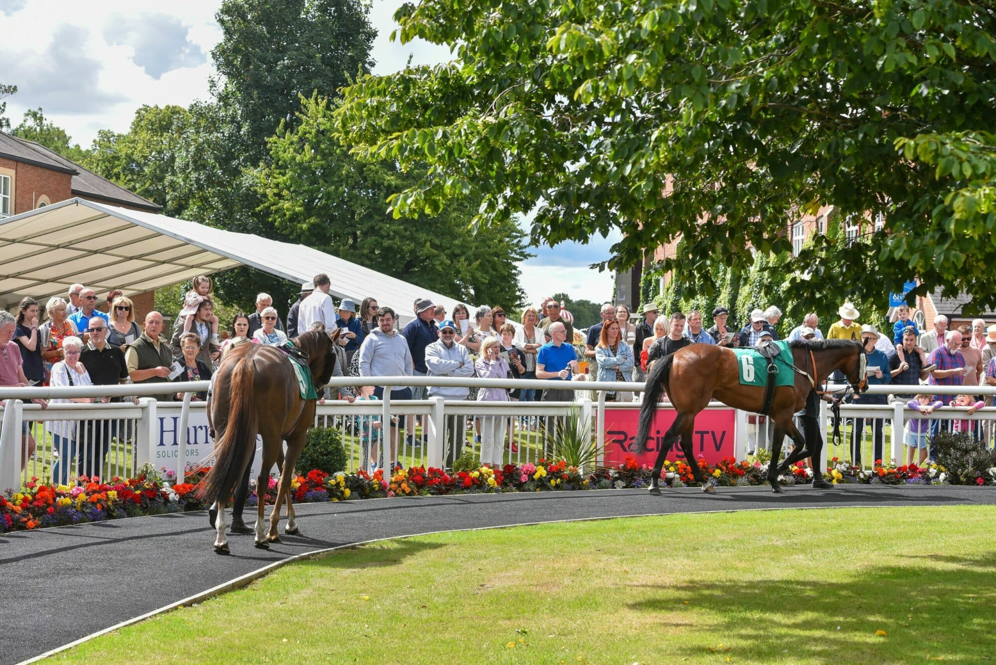 Thirsk Racecourse Image 9
