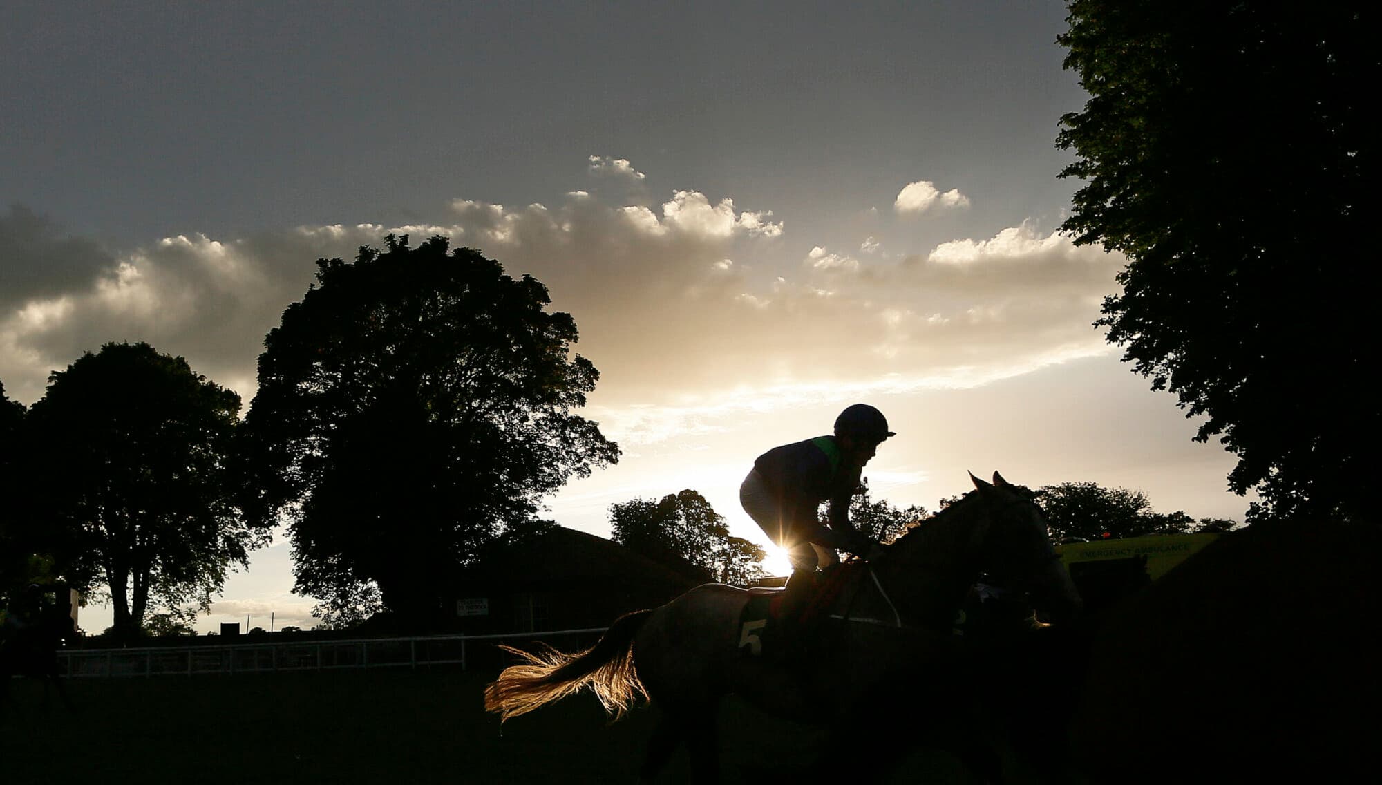 Ripon Racecourse Image 4
