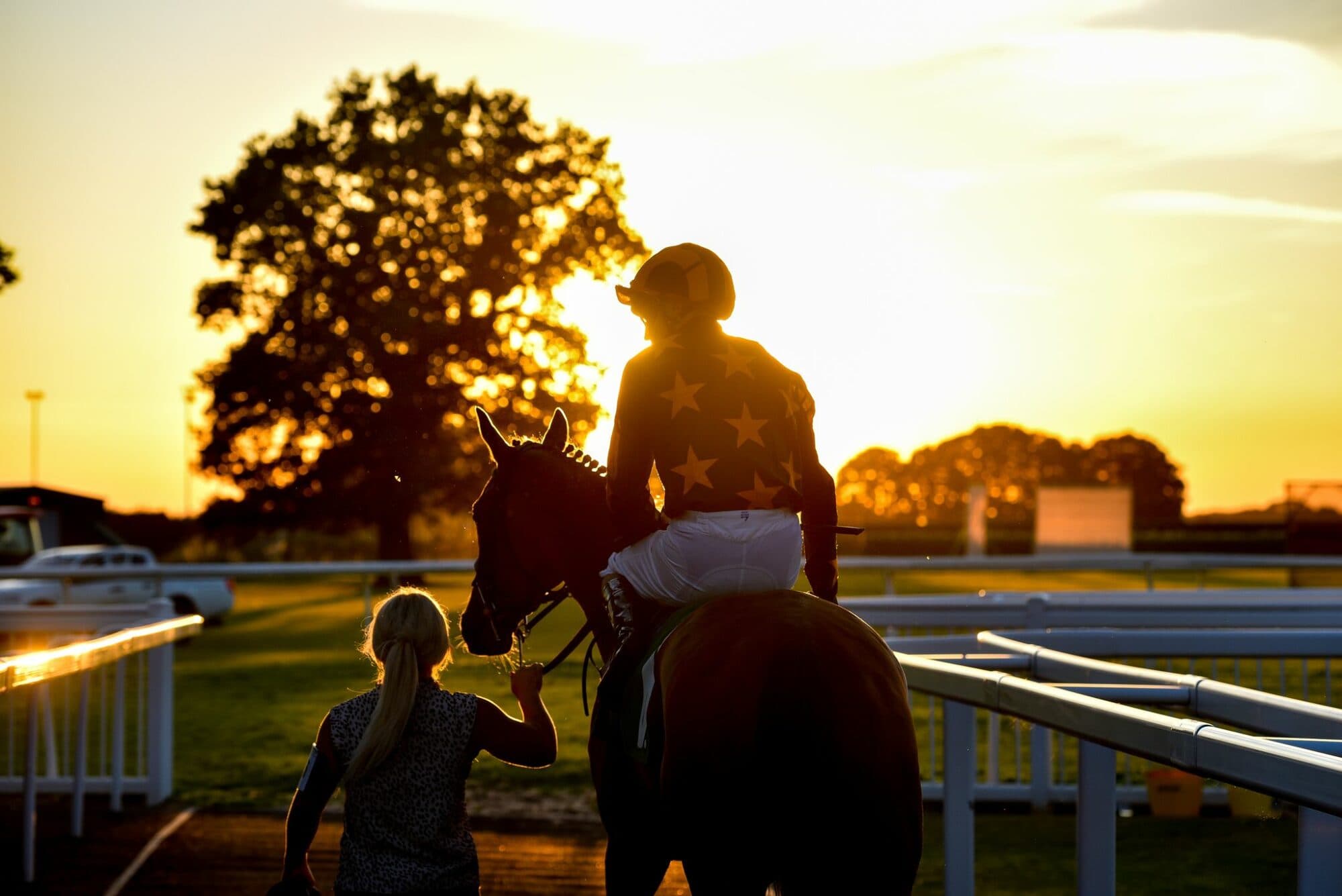 Thirsk Racecourse Image 5