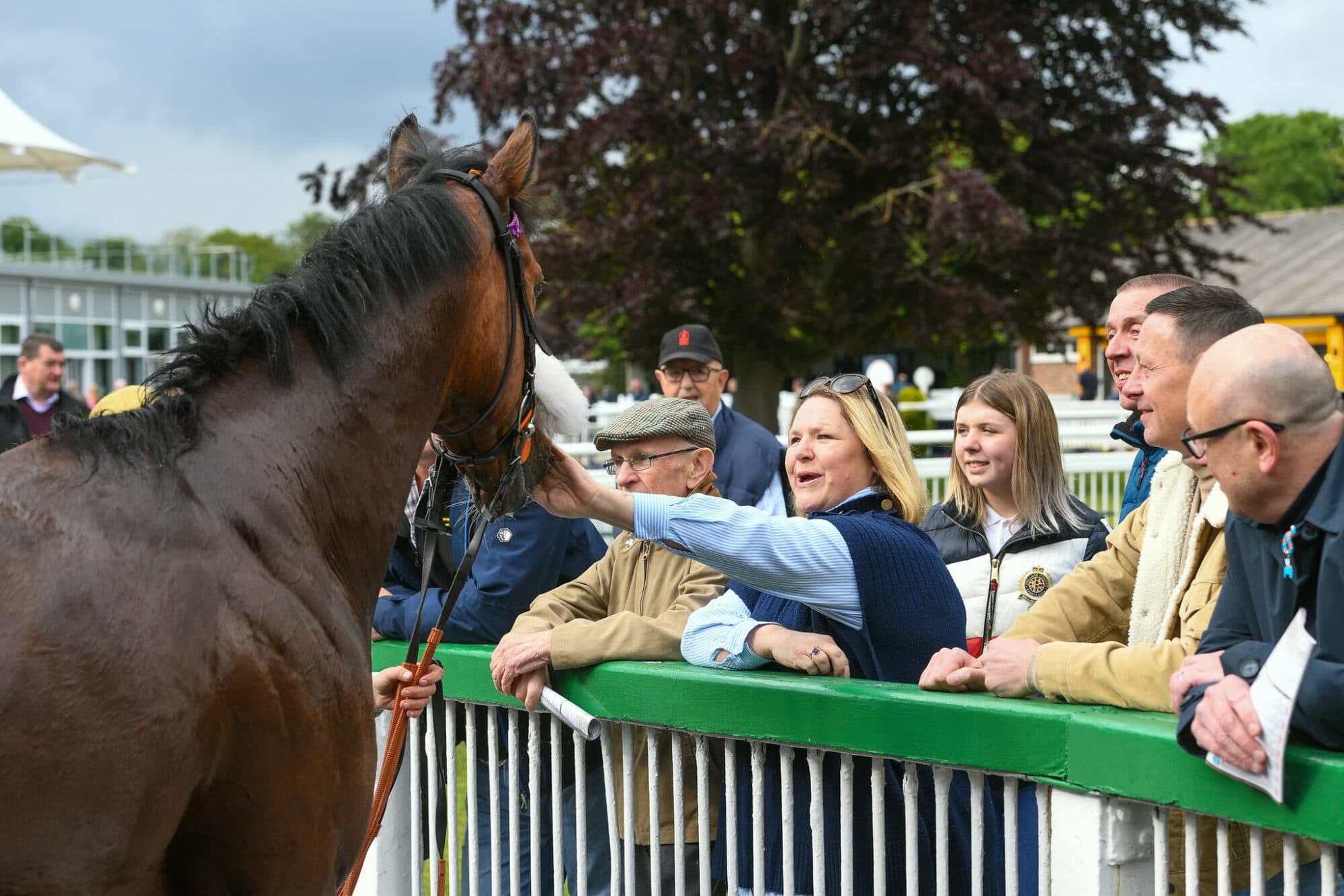 Thirsk Racecourse Image 3