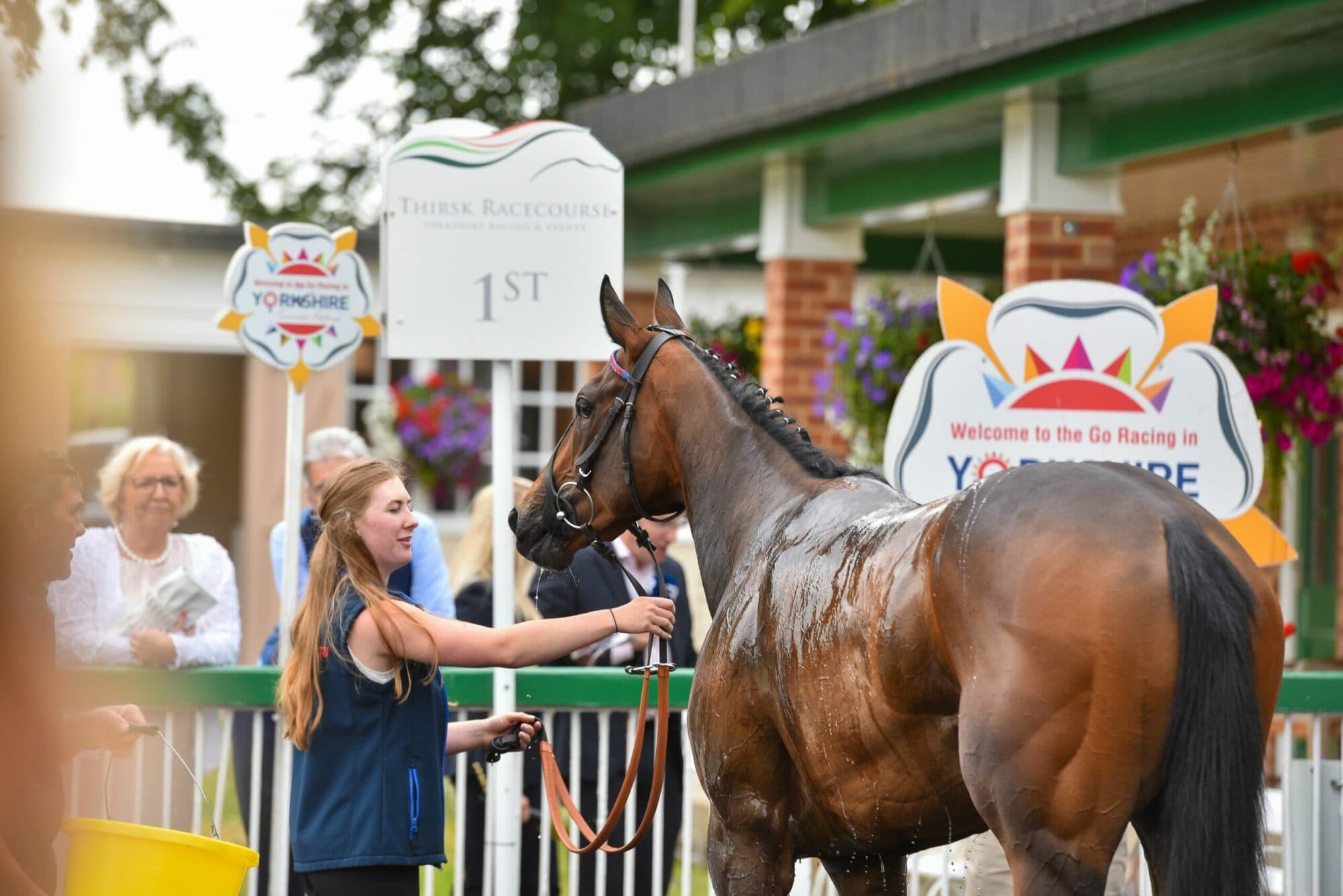 Thirsk Racecourse Image 2