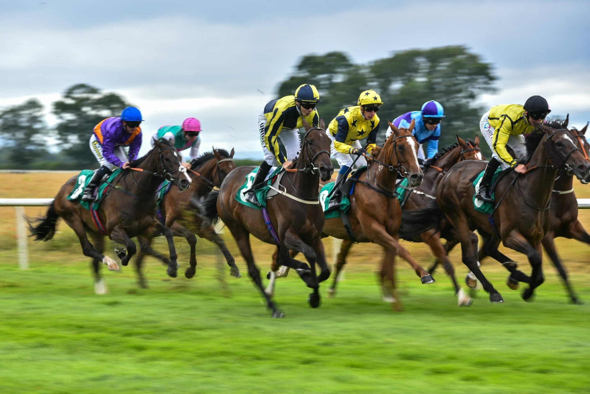 Thirsk Racecourse Image 11