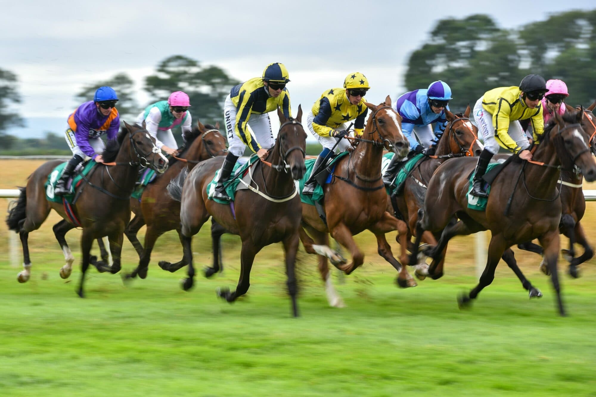 Thirsk Racecourse Image 7