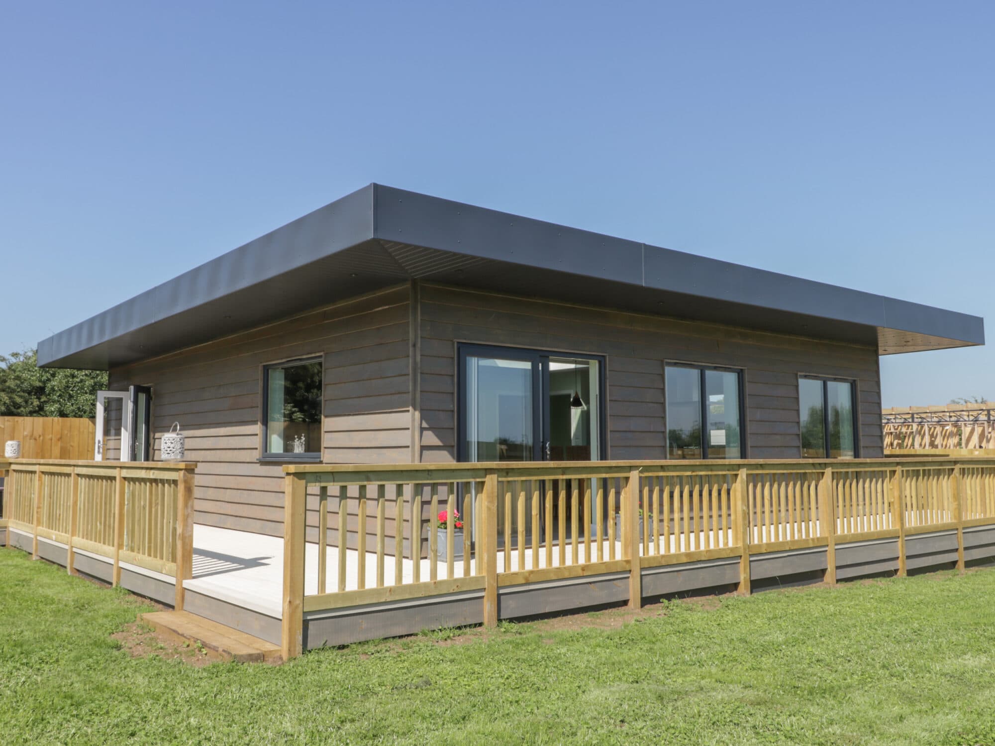 Bluebell Wood Image 5