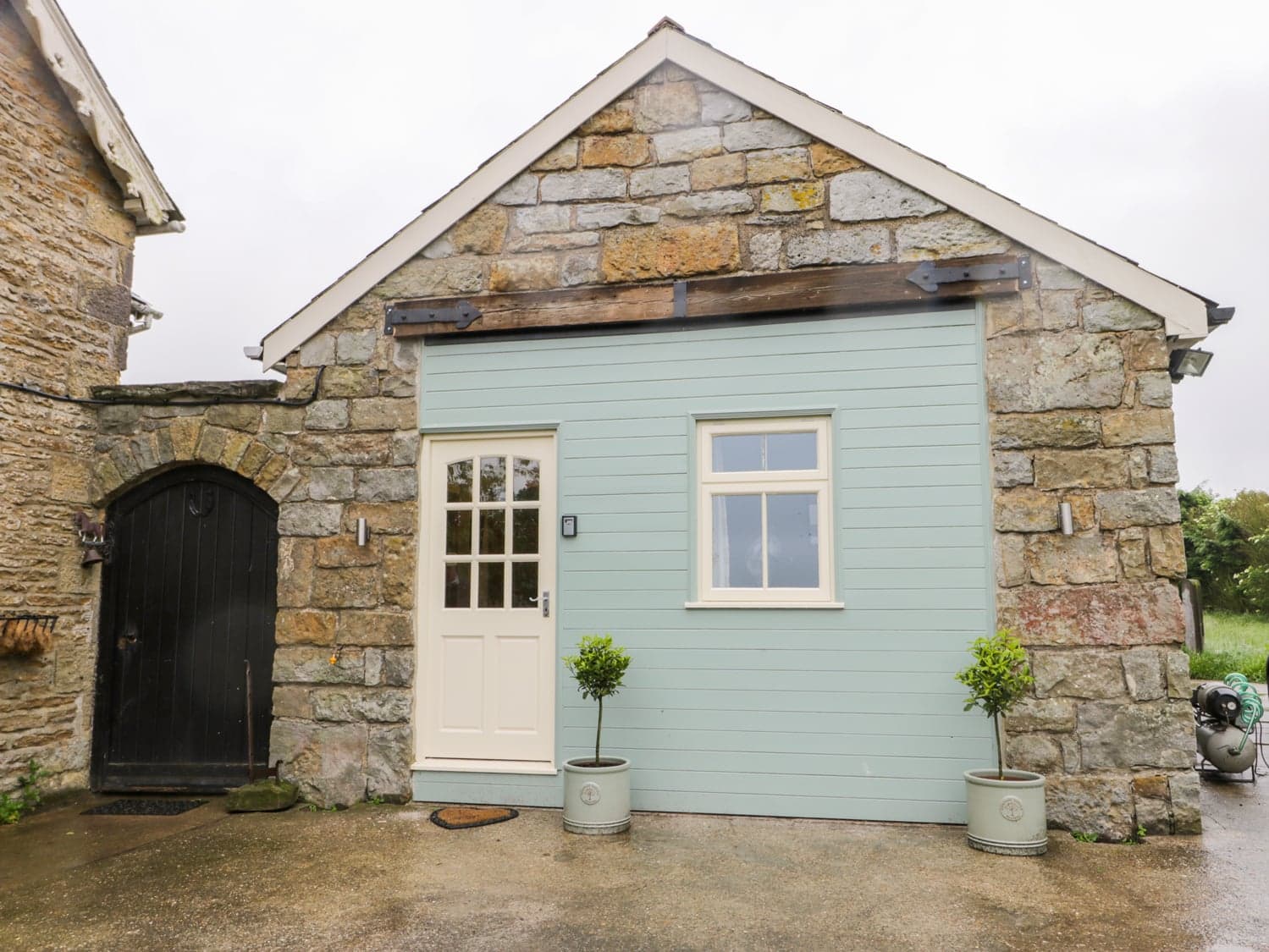 Wagtail Nest Image 2