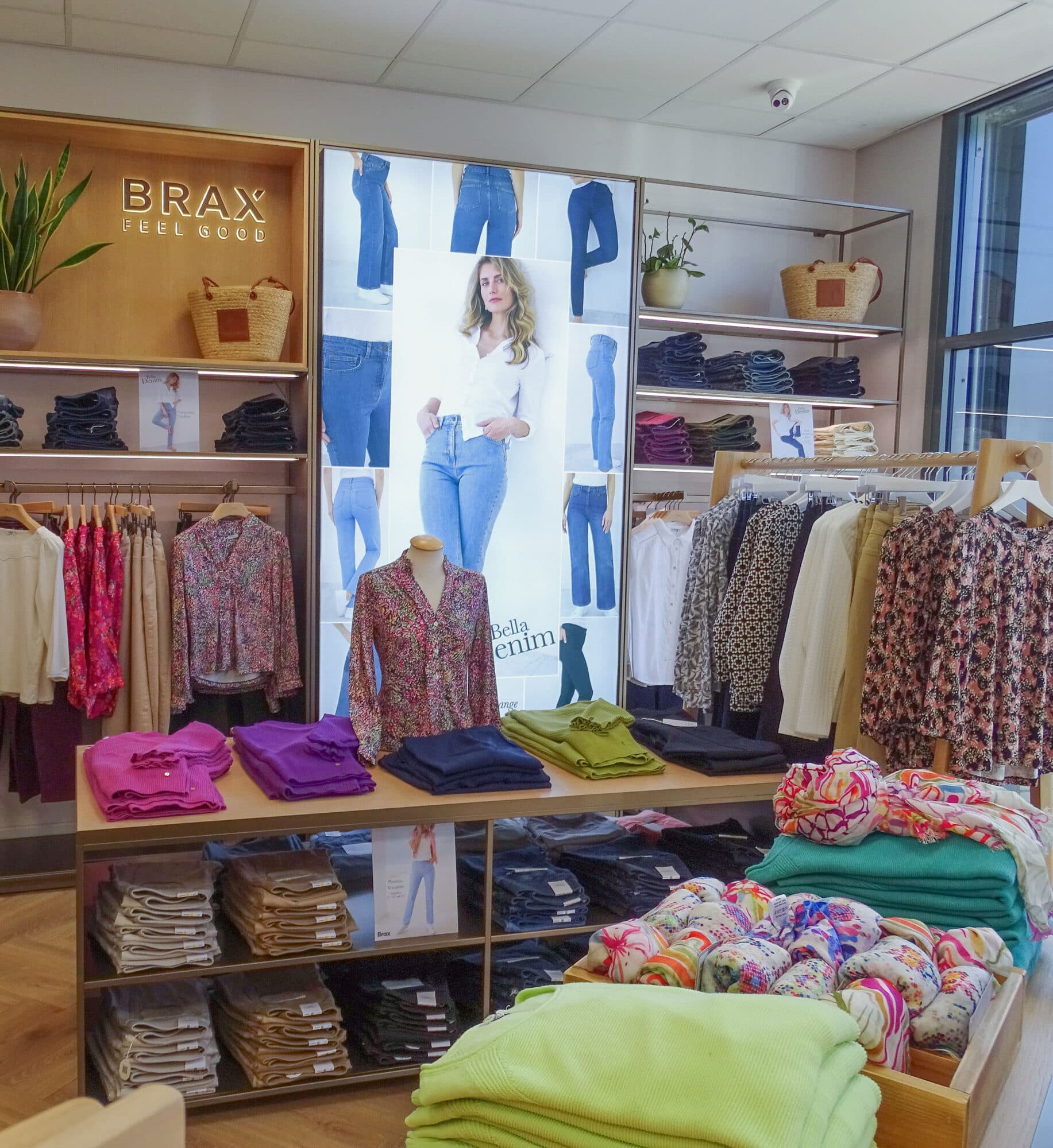 Bella di Notte Image 4