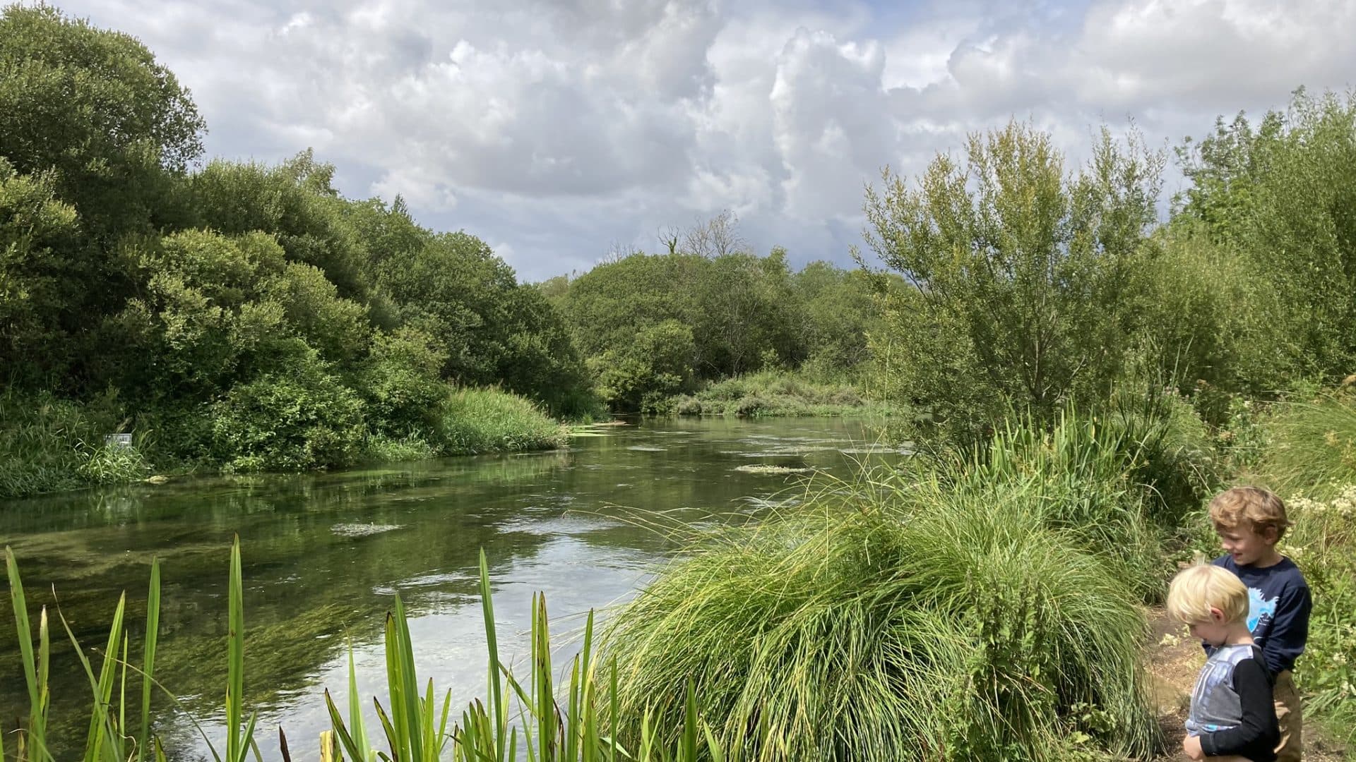Children exploring lush riverbank with green trees