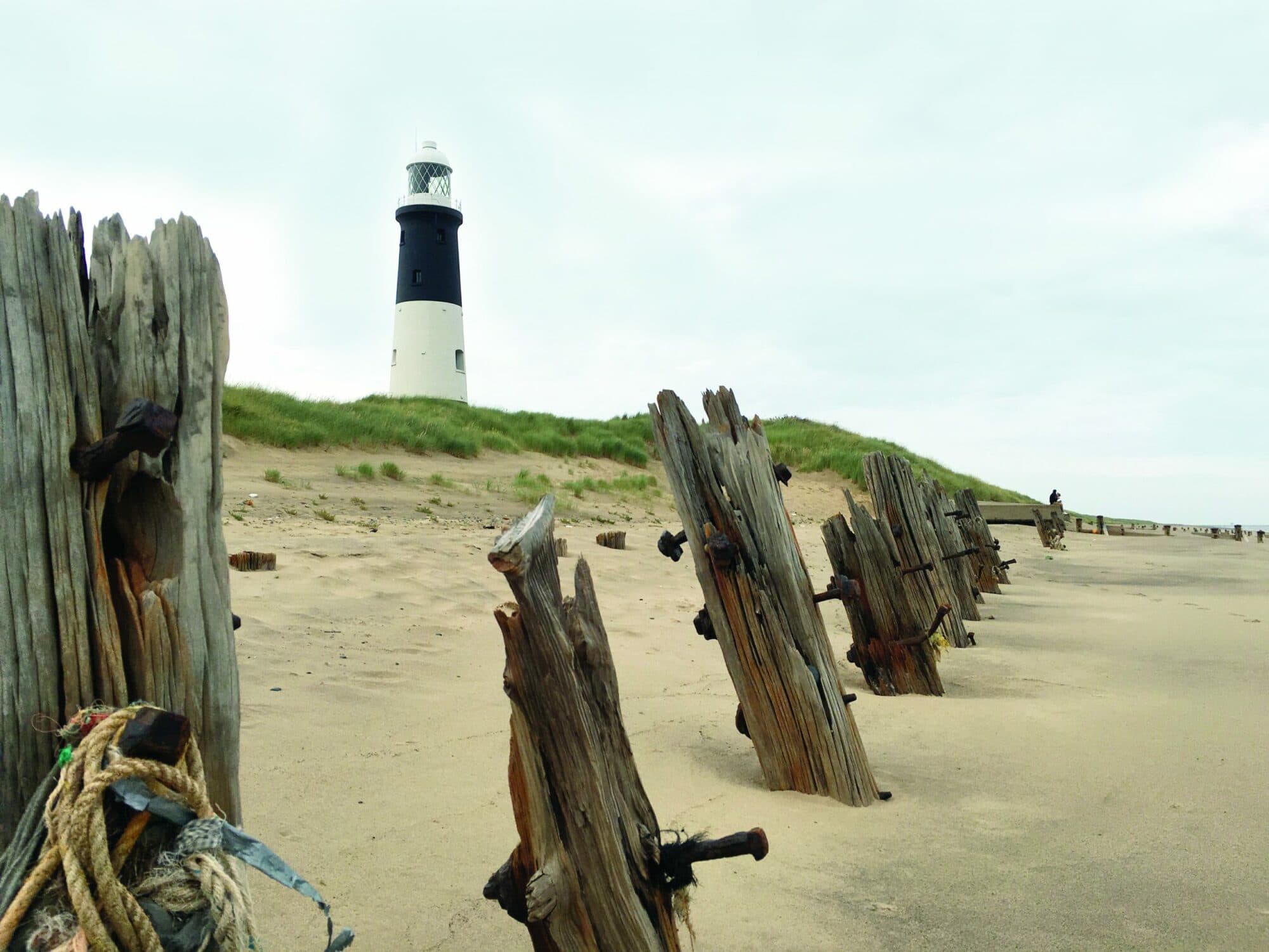 A journey to Yorkshire’s Land’s End: Walking at Spurn National Nature Reserve