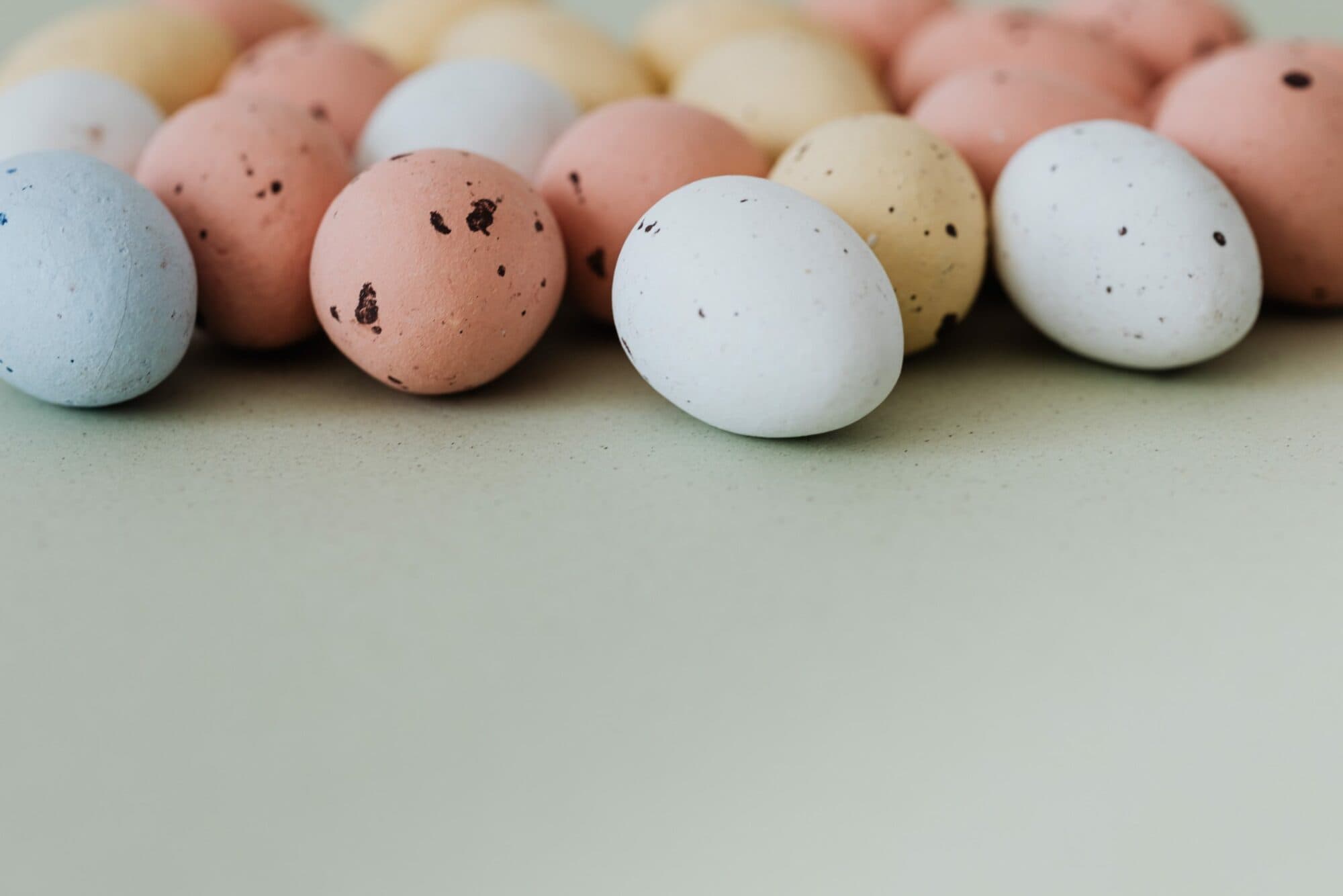 Easter Explores 2022