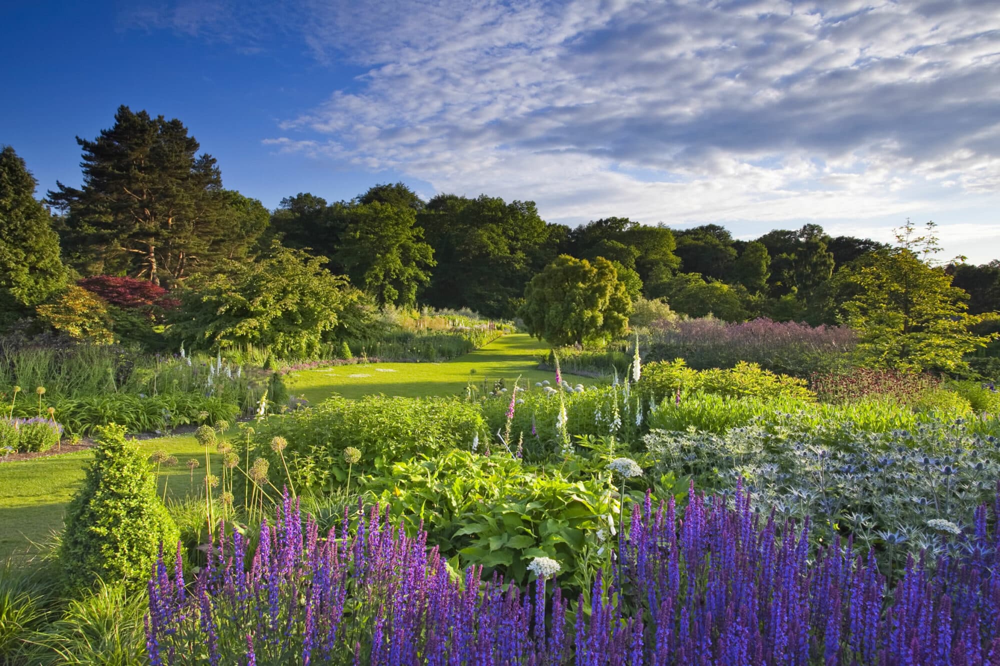How to create a garden from scratch
