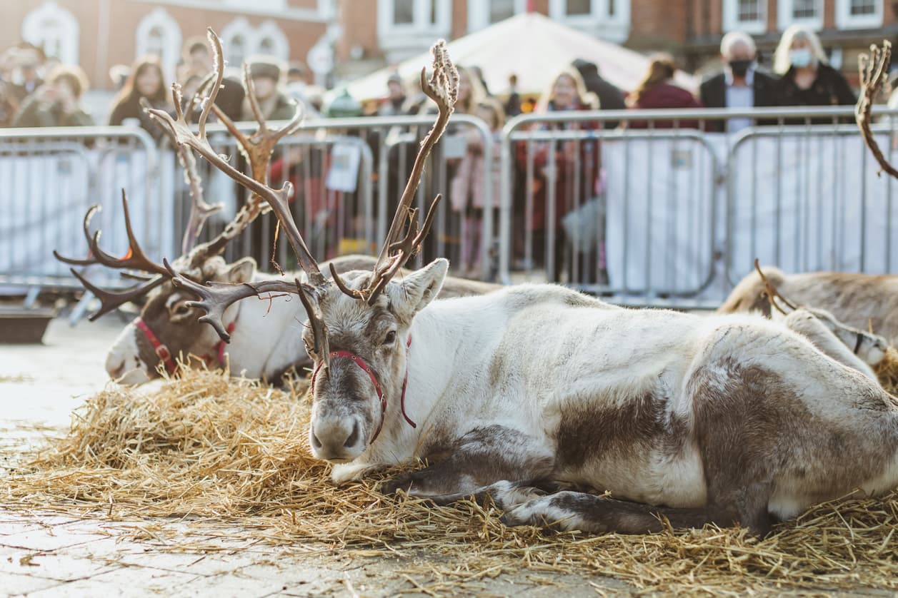 Christmas Events around Yorkshire, 2022