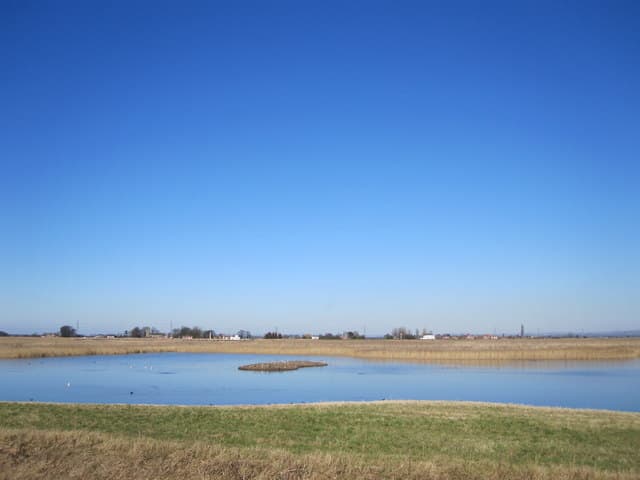 Walk: Blacktoft Sands RSPB Nature Reserve - Goole