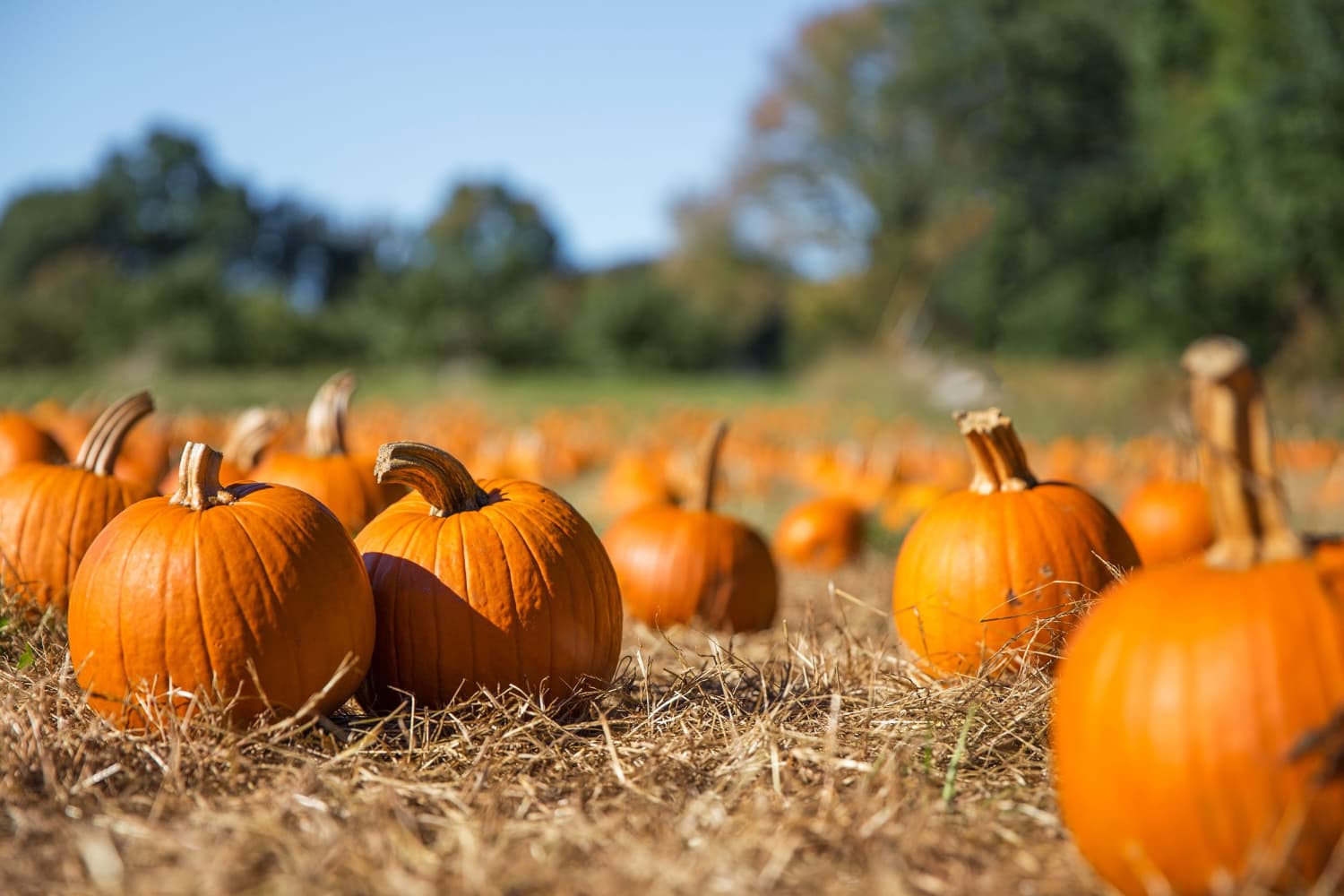Tell us about your October Half Term Activities