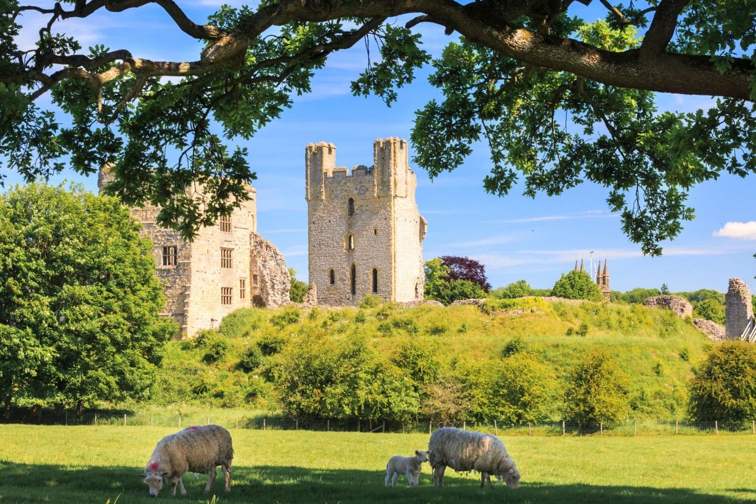 Walk: The Ebor Way