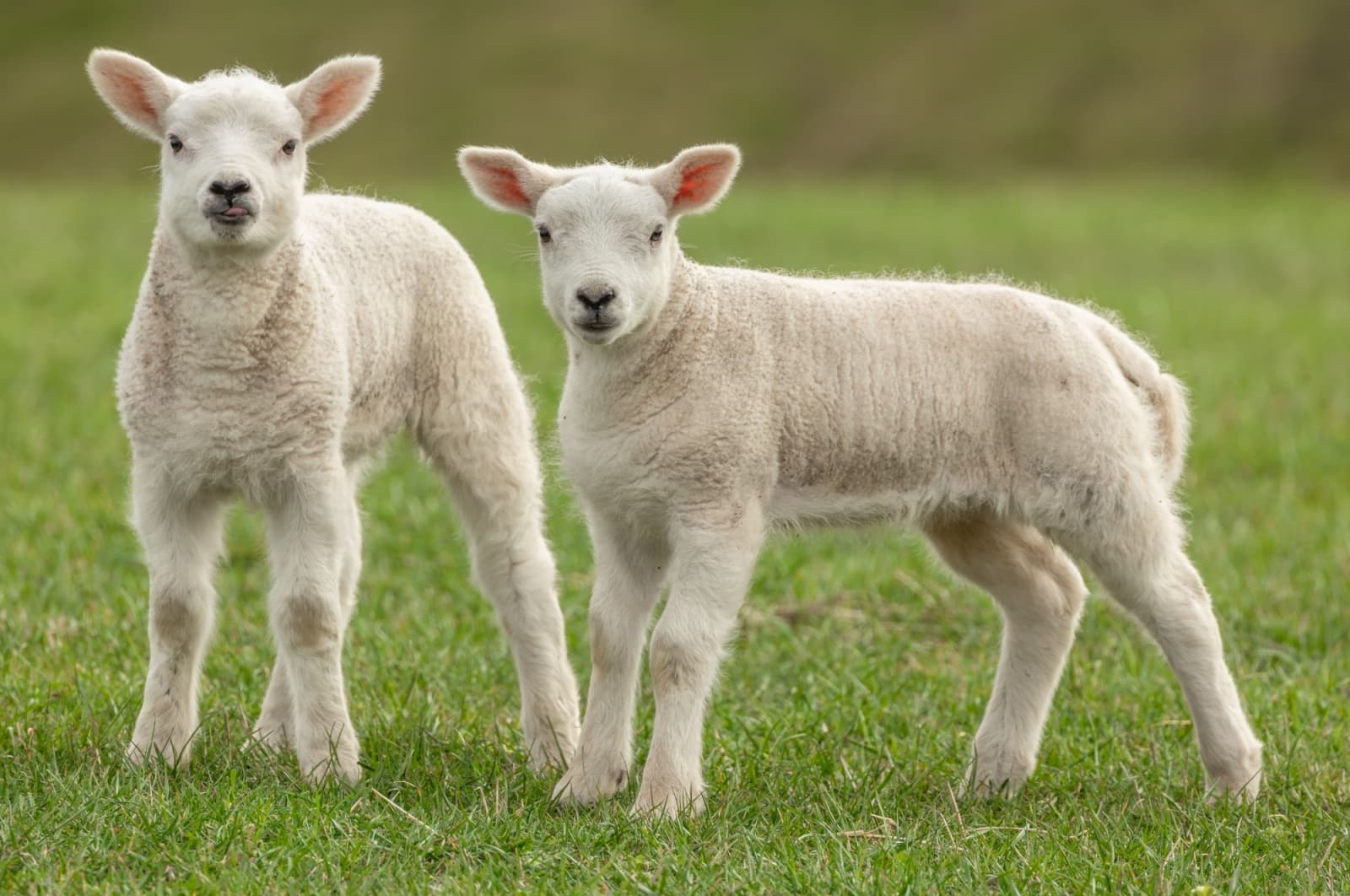 Newsletter: Friday 21st March 2025