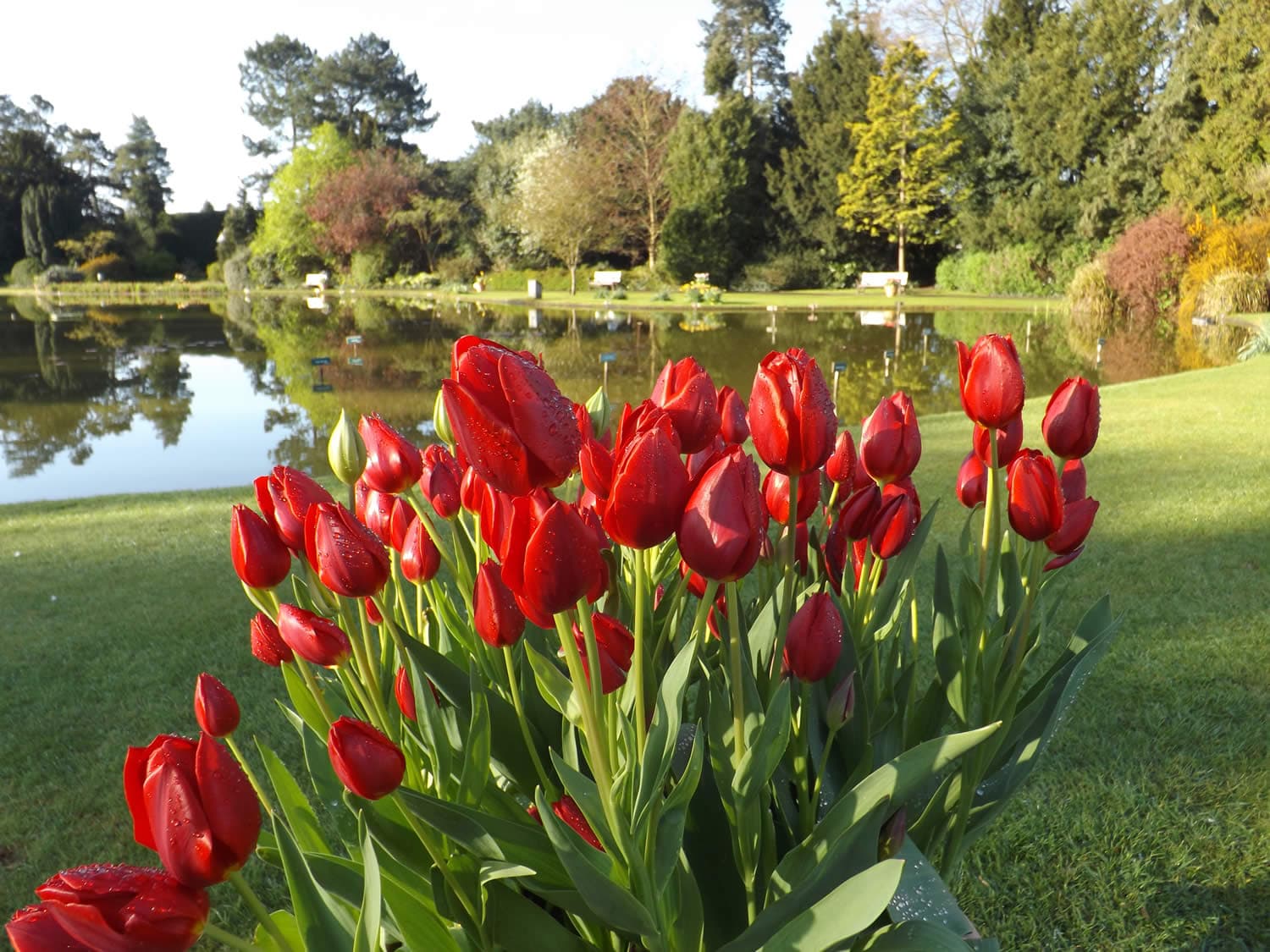 Burnby Hall Gardens and Museum - Garden in pocklington
