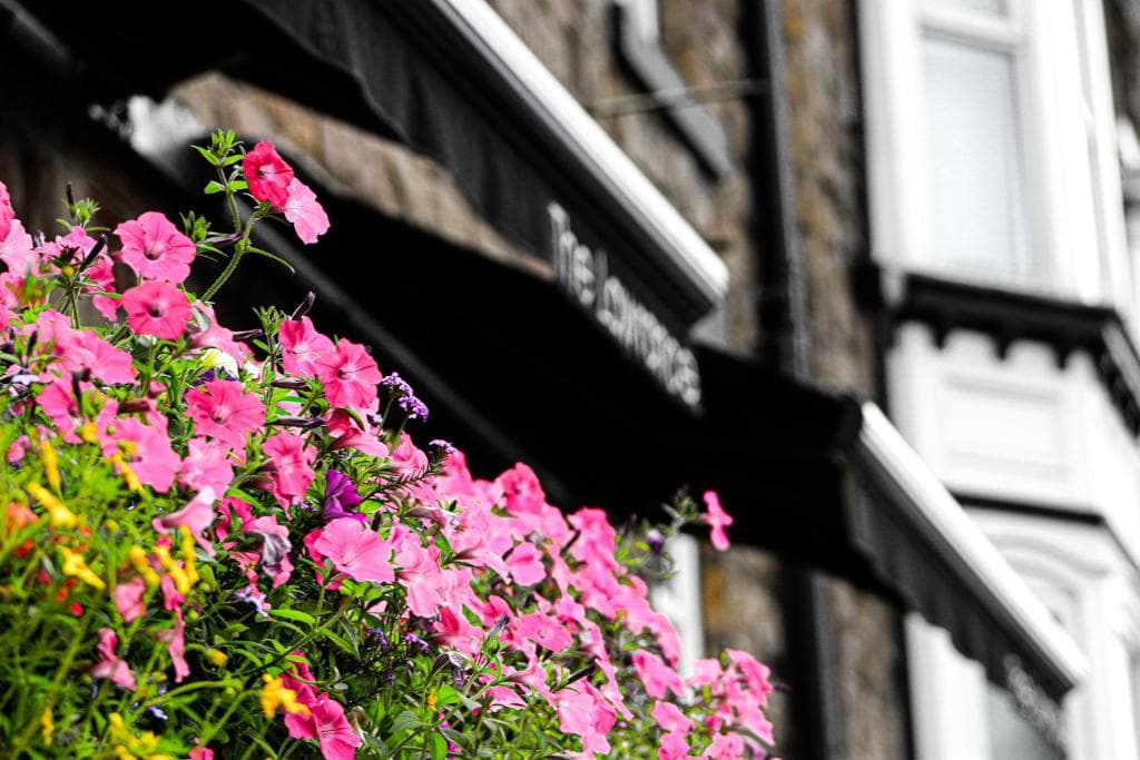 Accommodation at The Lawrance Luxury Aparthotel - Harrogate in harrogate