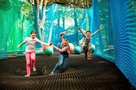 Children playing on suspended nets surrounded by trees, with colorful balls and blue netting in a forest canopy.