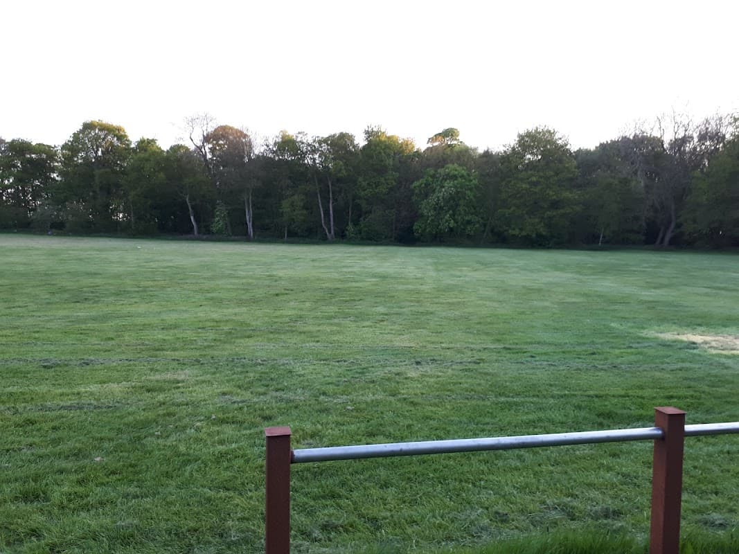 Lush green field at Bailwood Scout Campsite, bordered by trees under a clear sky in Aldbrough, Yorkshire.