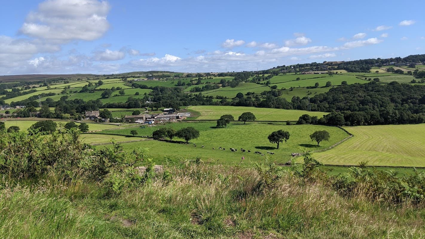 A scenic view of lush green fields, trees, and distant hills under a blue sky with scattered clouds.