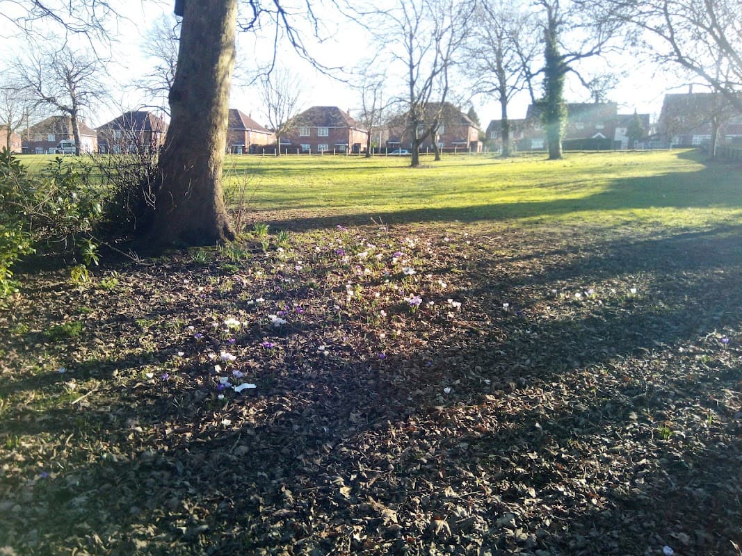 Bus Stop at Pollard Lane - Bus Stops in bramley