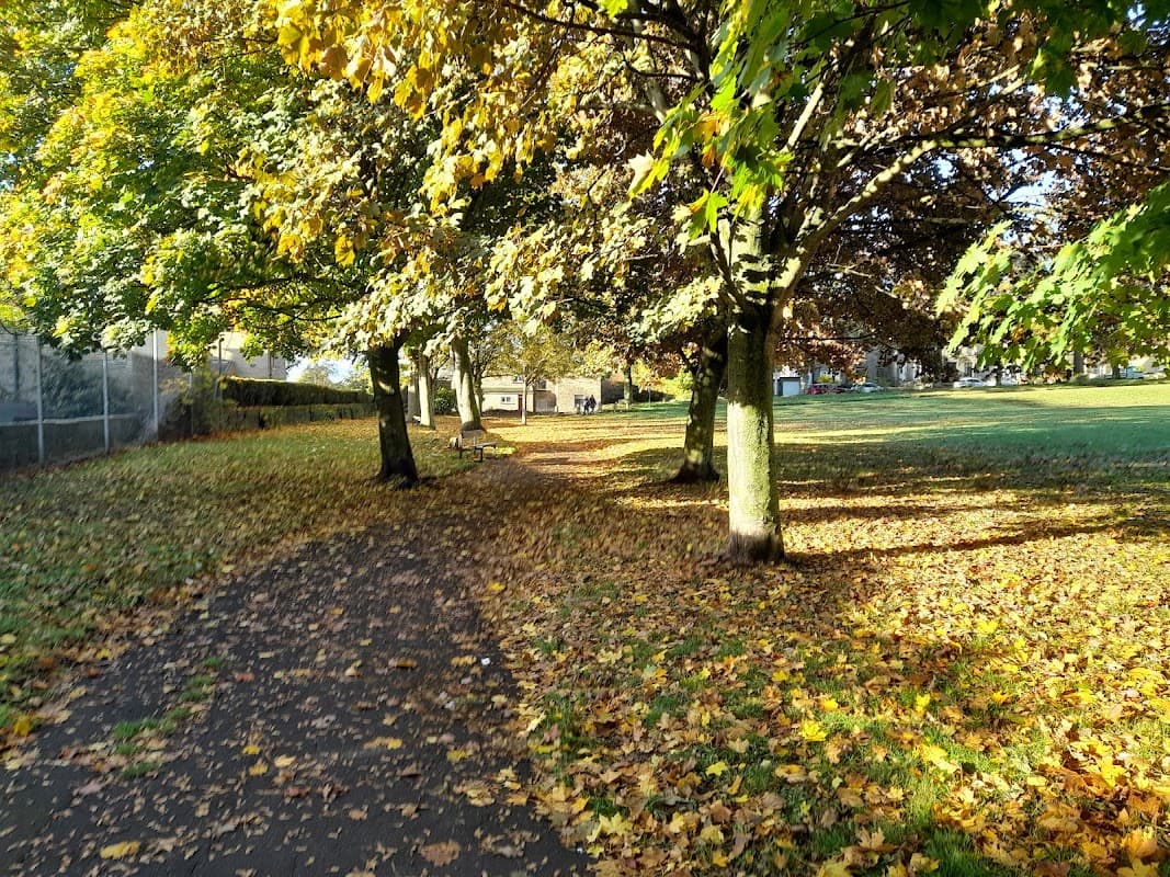 Lane Head Recreation Ground - Park in brighouse