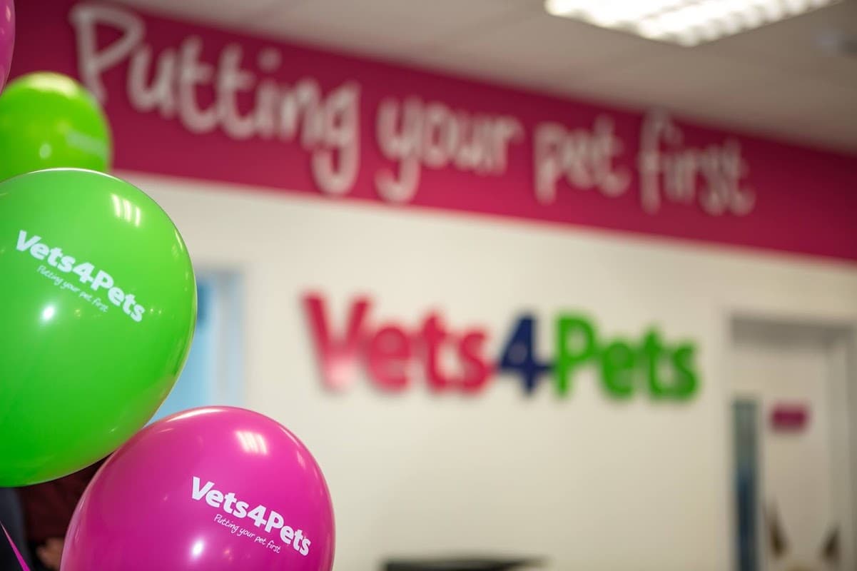 Vets4Pets - Brighouse - Vets in brighouse