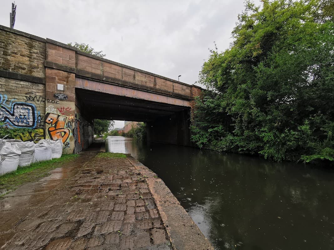 Pinfold Bridge - Historic Site in darnall