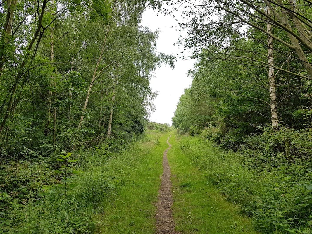 Tinsley Park Woods - Park in darnall