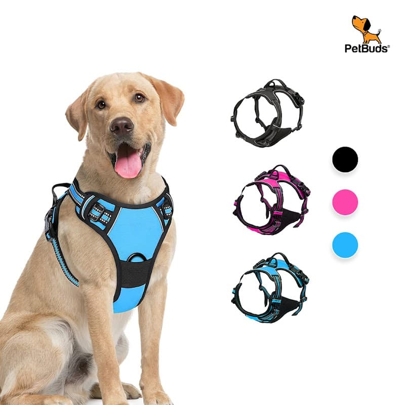 PetBuds - Pet Shops in batley