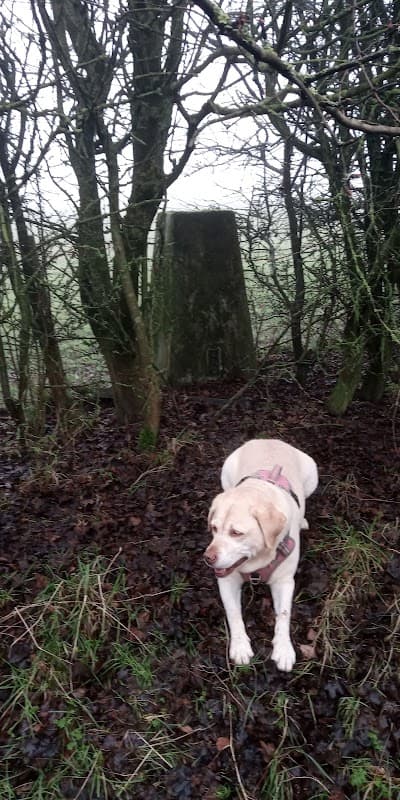 Brown Moor Trig point - Historic Site in garforth