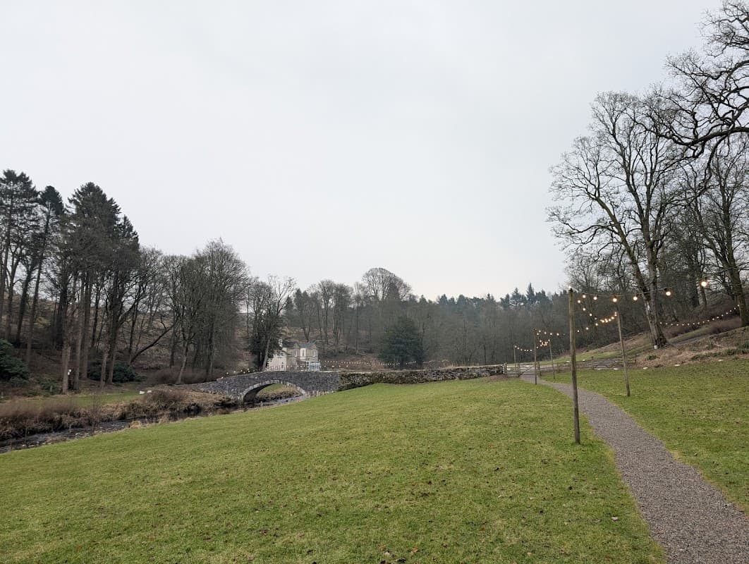 Lush green park with a winding path, bridge, and string lights among trees under a cloudy sky.