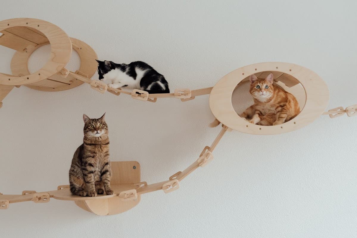 petsandus - Pet Shops in hull