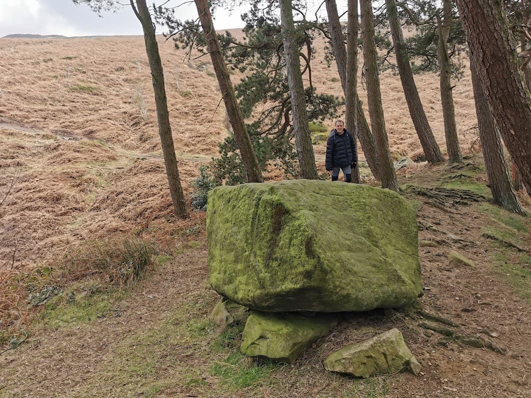 Willy Hall's Wood