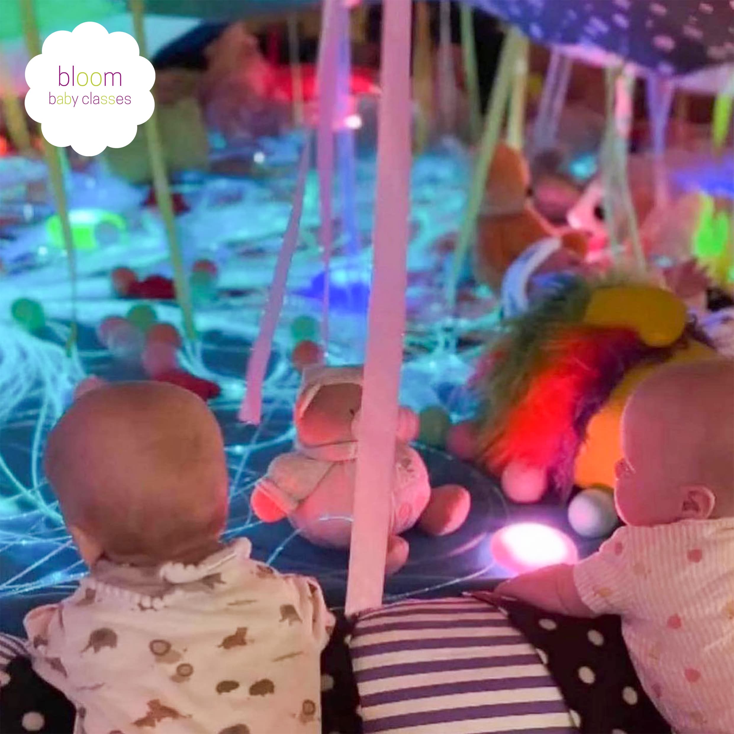 Bloom Baby Classes Rotherham & Sheffield East - Family Attraction in rotherham