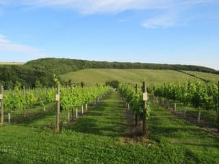 Dining at Little Wold Vineyard in south cave