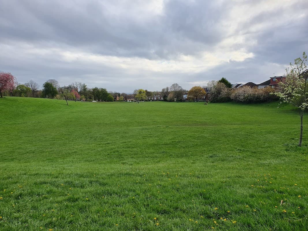 Allerton Grange Fields - Park in moortown