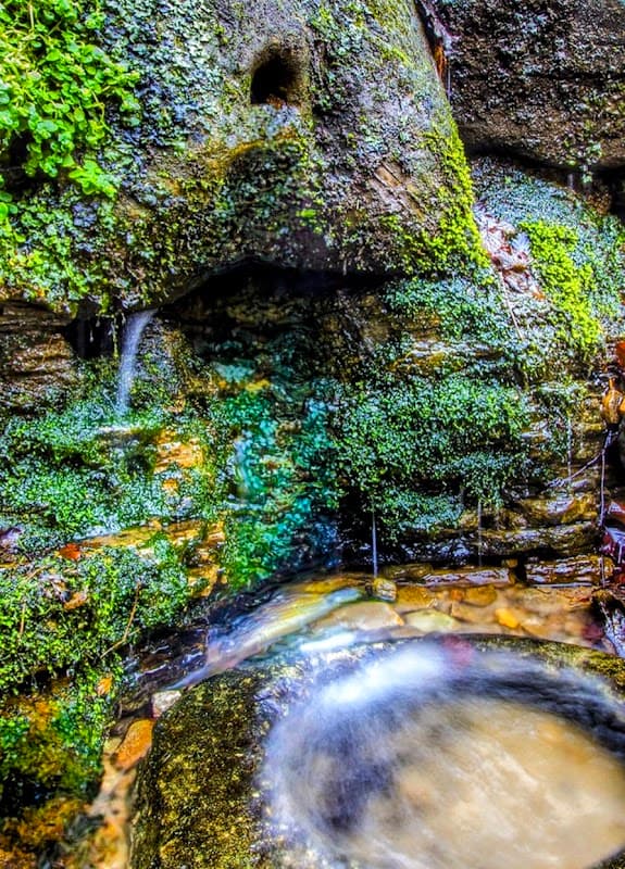 Dogs mouth spring - Historic Site in moortown